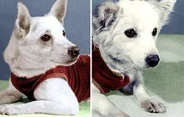 «Спутник-6»: космический аппарат, который был взорван