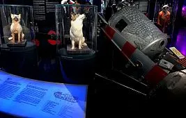 «Спутник-5»: аппарат с животными на борту