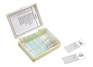 Набор микропрепаратов Микромед «Зоология», 11 образцов