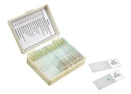 Набор микропрепаратов Микромед «Ботаника», 16 образцов