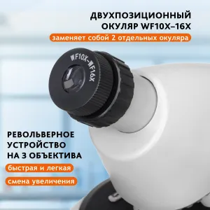Микроскоп Levenhuk Discovery Micro с книгой, изображение 21
