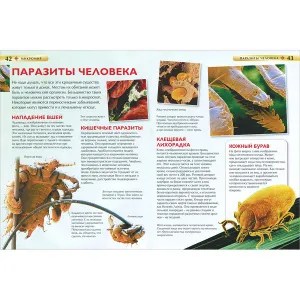 «Микромир. Детская энциклопедия», Роджерс К., изображение 2