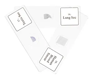 Набор микропрепаратов Bresser «Гистология», 30 шт., в кейсе, изображение 5