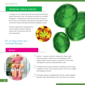 Микроскоп Levenhuk Discovery Pico с книгой, изображение 7