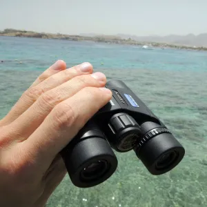 Бинокль Kenko SG EX 10x25 DH WP, изображение 3