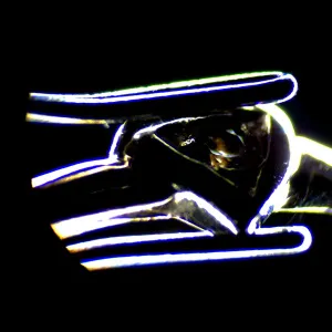 Микроскоп стереоскопический цифровой MAGUS Stereo D7T LCD PLUS, изображение 25