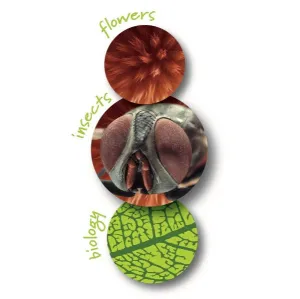 Микроскоп детский портативный Navir «Зумскоп» 20–40x, с подсветкой, изображение 3