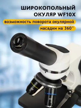 Микроскоп Levenhuk Discovery Pico с книгой, изображение 17