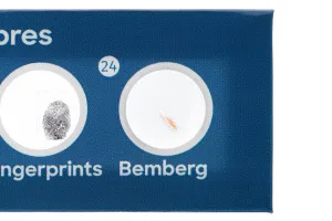 Набор микропрепаратов Levenhuk Discovery «Флора и фауна», 24 шт., изображение 9